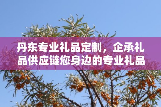 丹东专业礼品定制，企承礼品供应链您身边的专业礼品定制公司