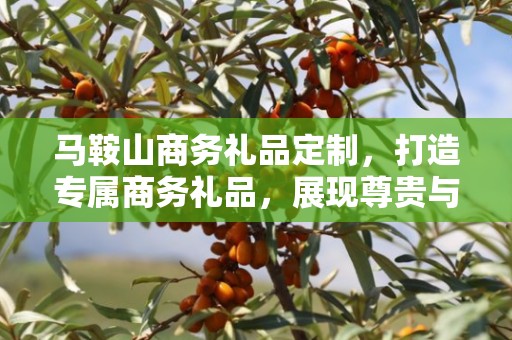 马鞍山商务礼品定制，打造专属商务礼品，展现尊贵与品味